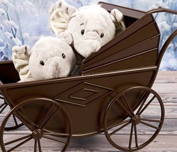 poussette double : comment la choisir ?