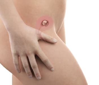 Bébé in utero : semaine 7 (SA 9)