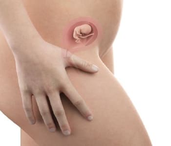 Bébé in utero : semaine 12 (SA 14)