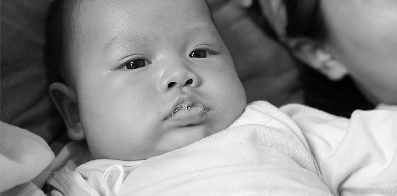 1888_bebe_bave