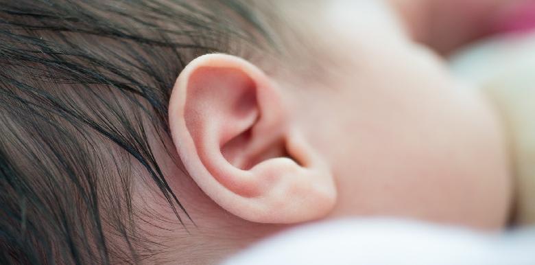 117_Fotolia_89062949_oreilles