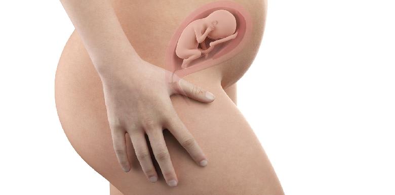396_grossesse_sem21