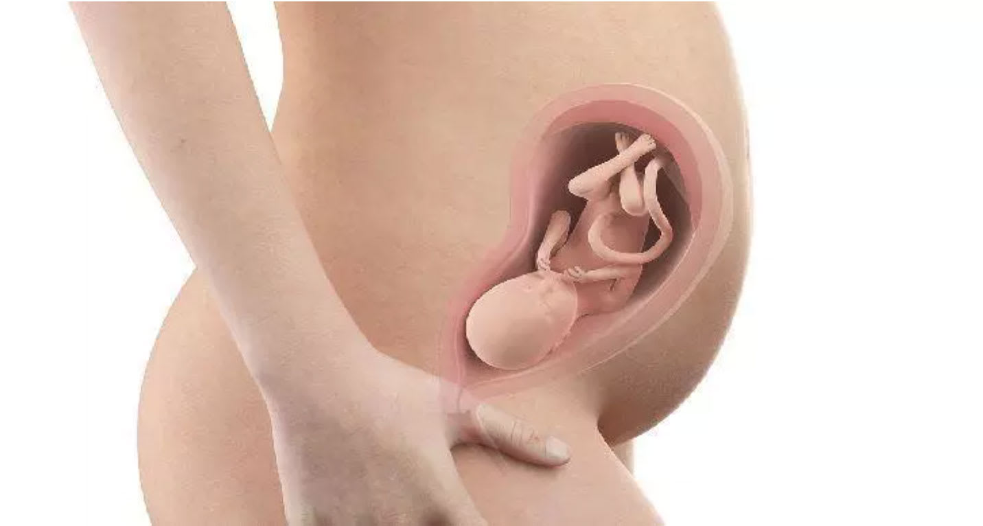 bebe-in-utero-semaine-27-29-sa.jpg