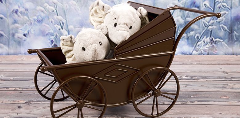 poussette double : comment la choisir ?