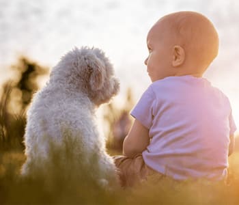 preparer_son_chien_a_larrivee_de_bebe.jpg