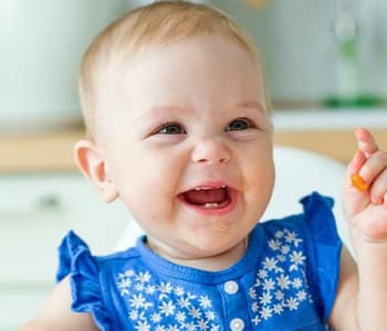 diversification menée par l'enfant diversification alimentaire dme alimentation bébé