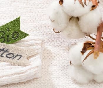 Les vêtements bio, c’est mieux : info ou intox ?