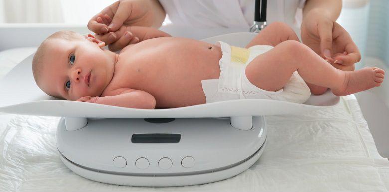 1761_courbes_croissance_2018