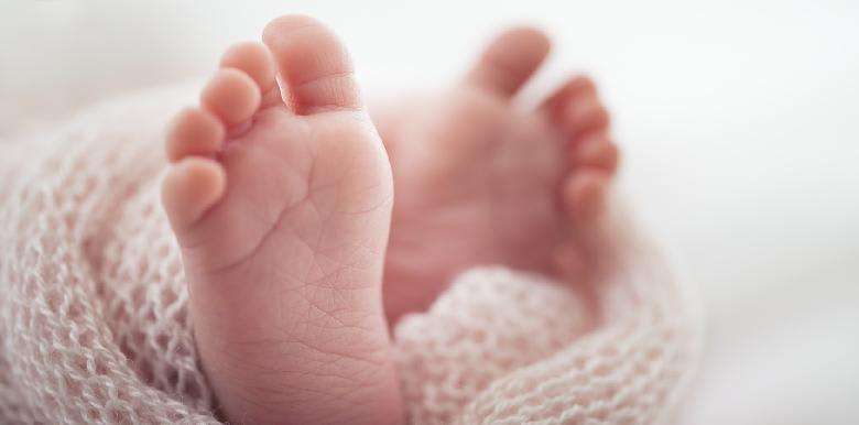 1042_Fotolia_78875457_Subscription_Monthly_M