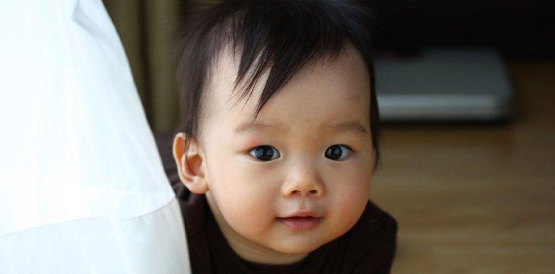 Votre bébé a 8 mois