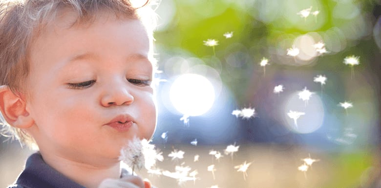 Les bobos de la nature