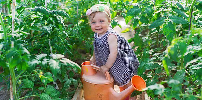 Les progrès de l’été