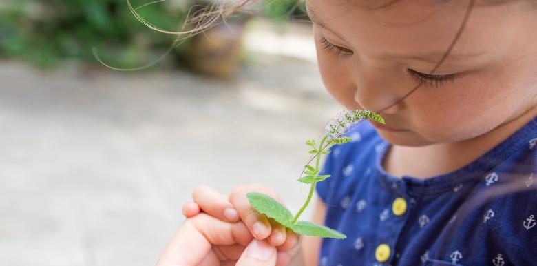 Des activités sur le thème de la nature