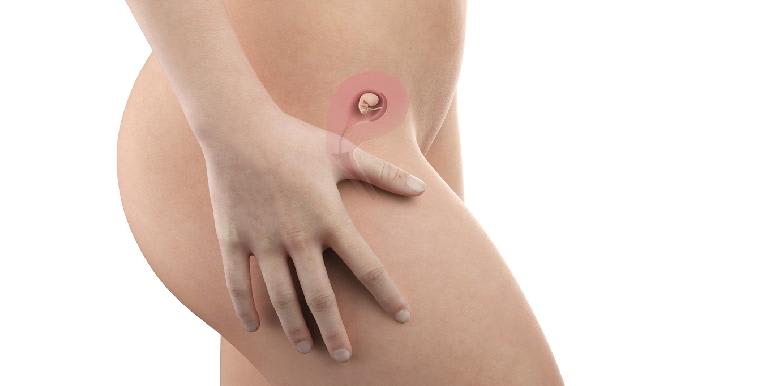 Bébé in utero : semaine 7 (SA 9)