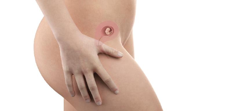 Bébé in utero : semaine 8 (SA 10)