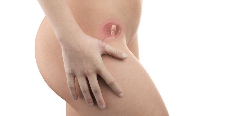 Bébé in utero : semaine 9 (SA 11)