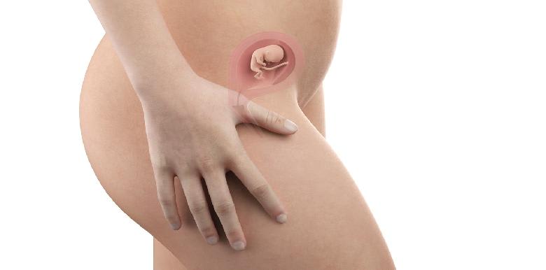 Bébé in utero : semaine 12 (SA 14)