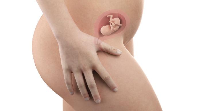  Bébé in utero : semaine 15 (SA 17)