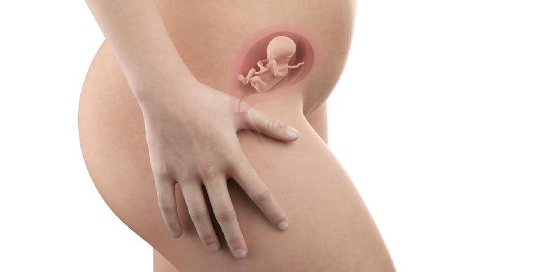  Bébé in utero : semaine 16 (SA 18)