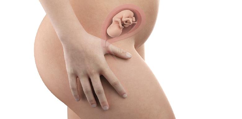 Bébé in utero : semaine 18 (SA 20)