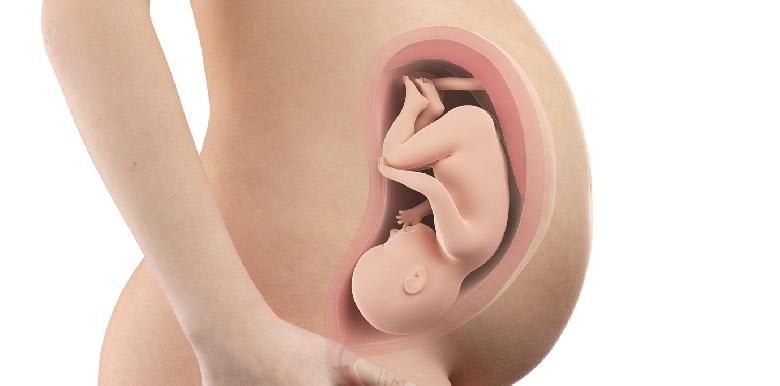 Bébé in utero : semaine 35 (SA 37)