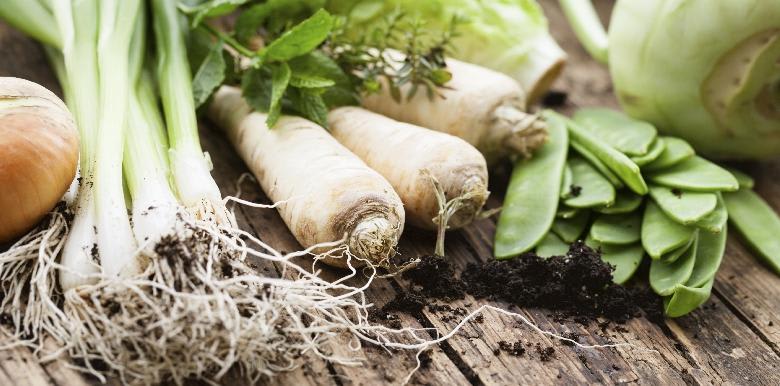 Les vitamines et les sels minéraux