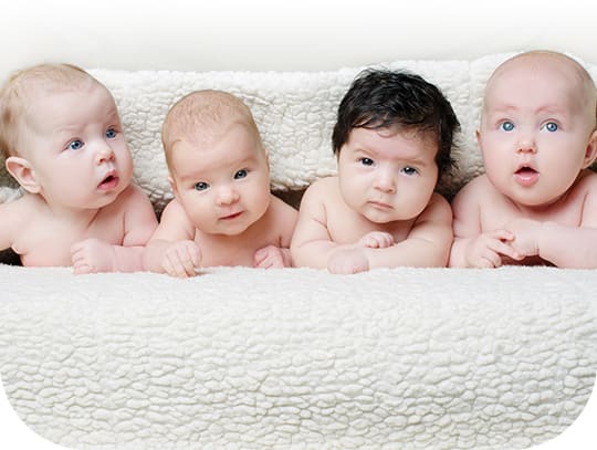 Toutes les facettes de