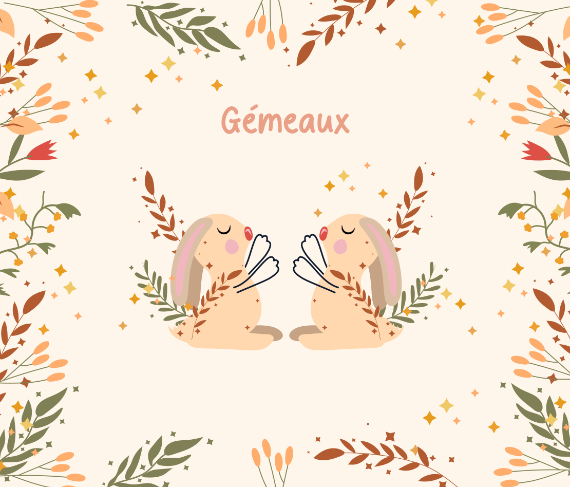 Bébé Gémeaux