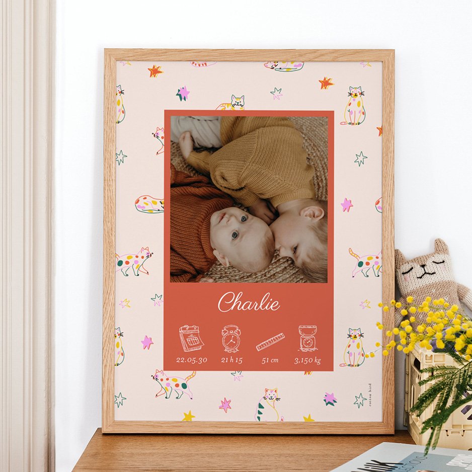 Affiche cotton bird