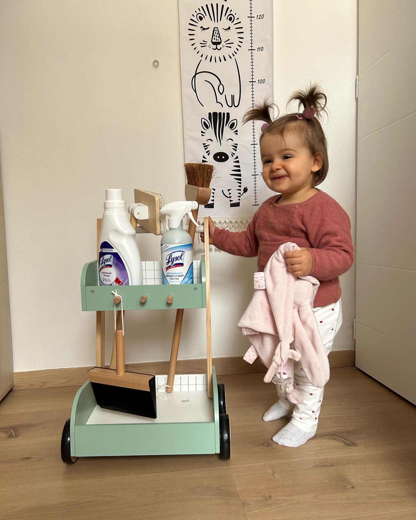 Avis désinfectants Lysol