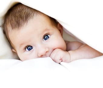 Bebe
