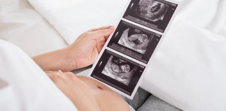 Echographie grossesse : Tout savoir sur les échographies pendant la  grossesse