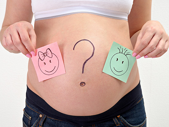 5e mois de Grossesse : Quoi savoir - Échographie du sexe de votre bébé