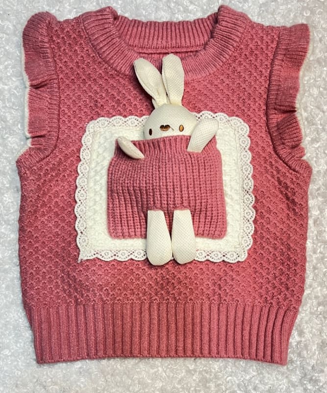 CHALECO IMPORTADO PELUCHE - Palo rosa