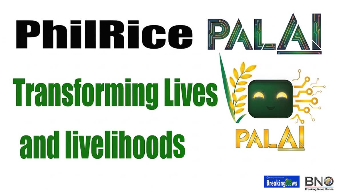 /breaking/palai-philrice-transforming-lives-and-livelihoods/