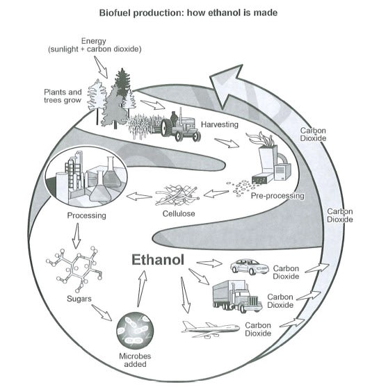 IELTS Writing Task 1 process diagram showing how ethanol is produced