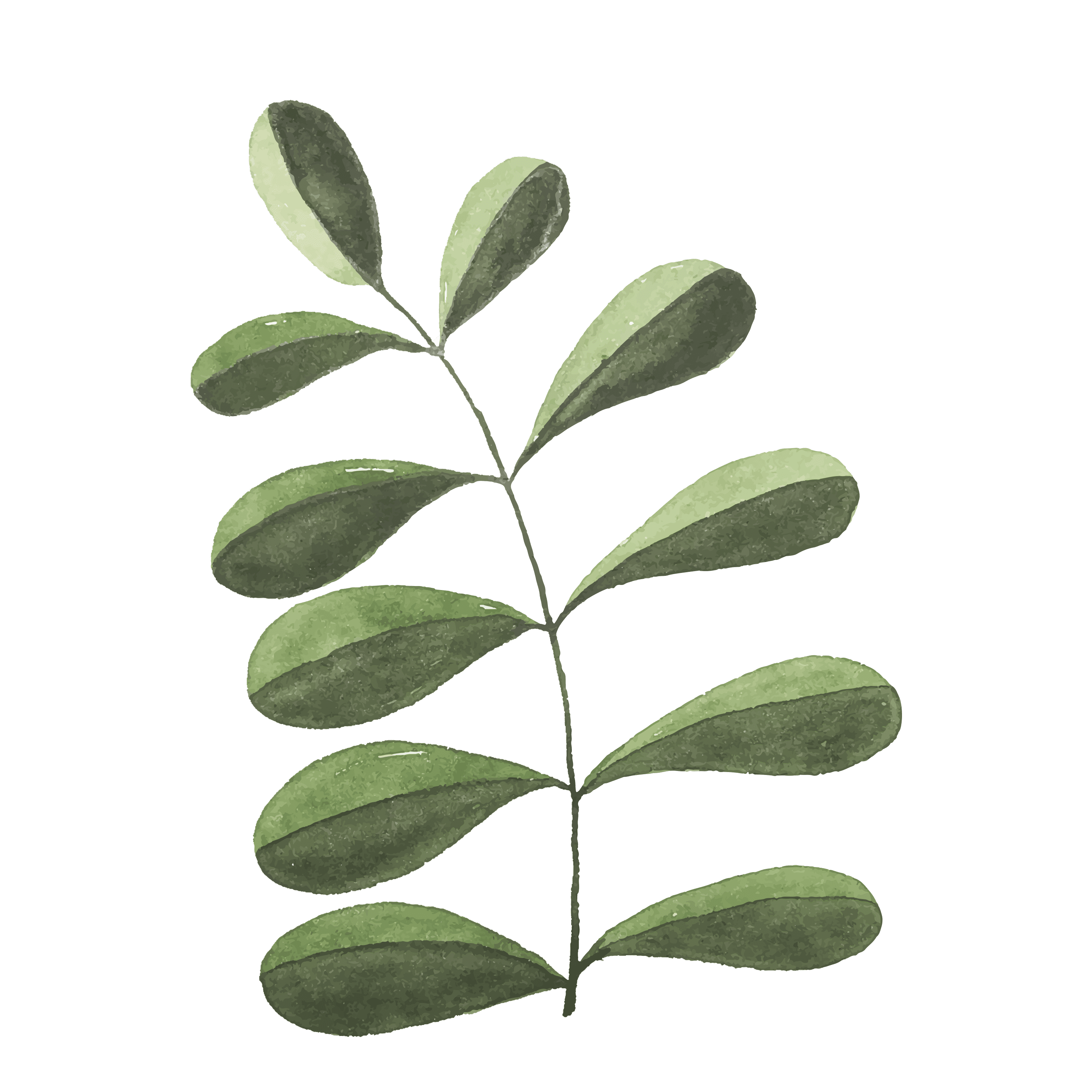 branch decor