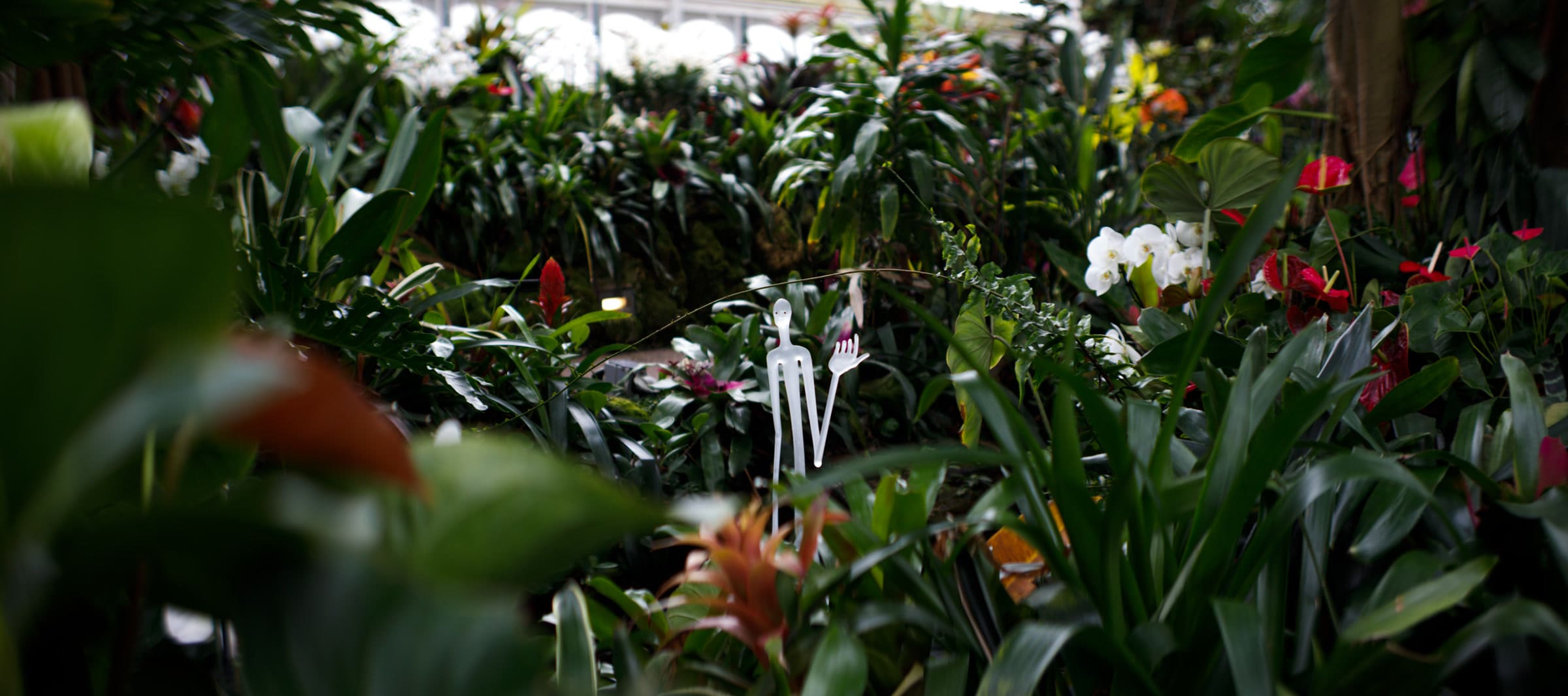 A glass sculpture of in the Phipps Conservatory in Pittsburgh