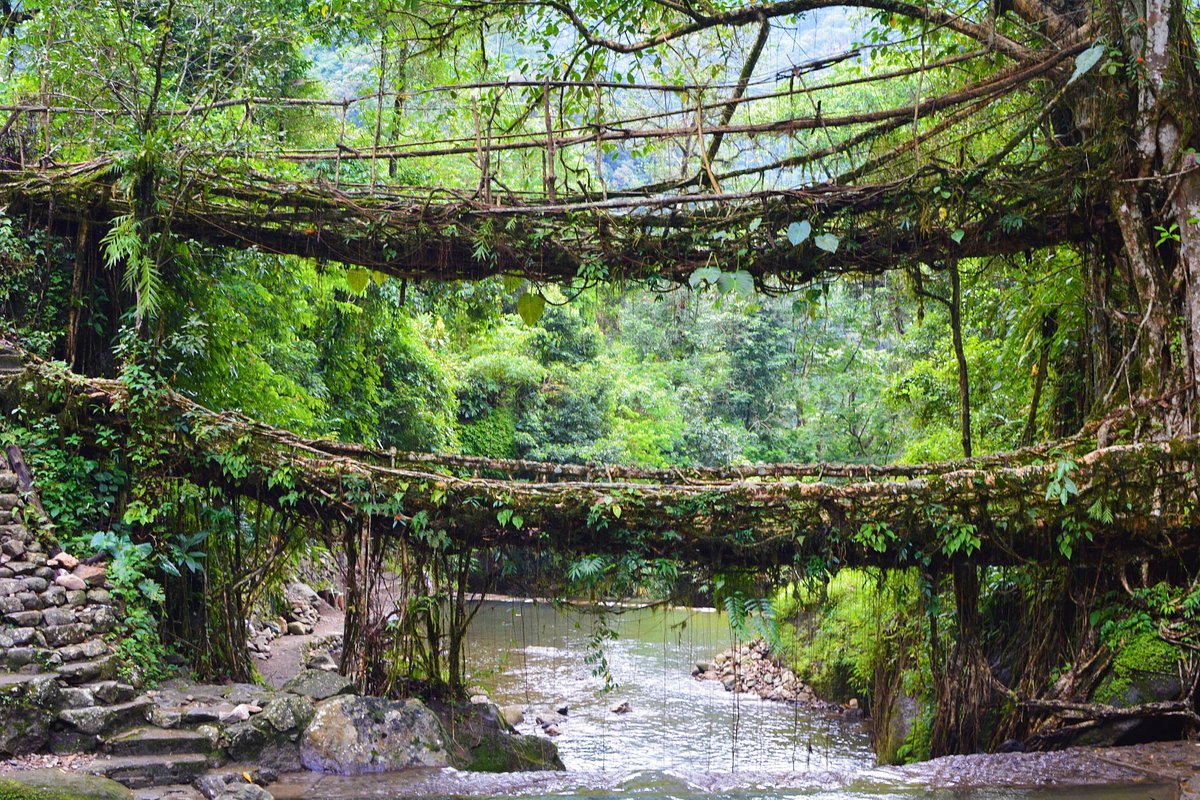 Double Decker Living Root Bridge, Nongriat, Meghalaya