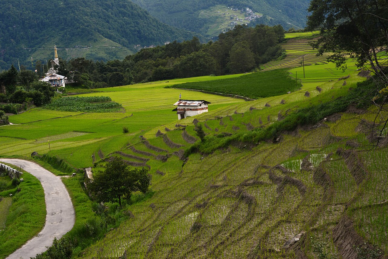 Ziro Valley green paddy fields Arunachal Pradesh