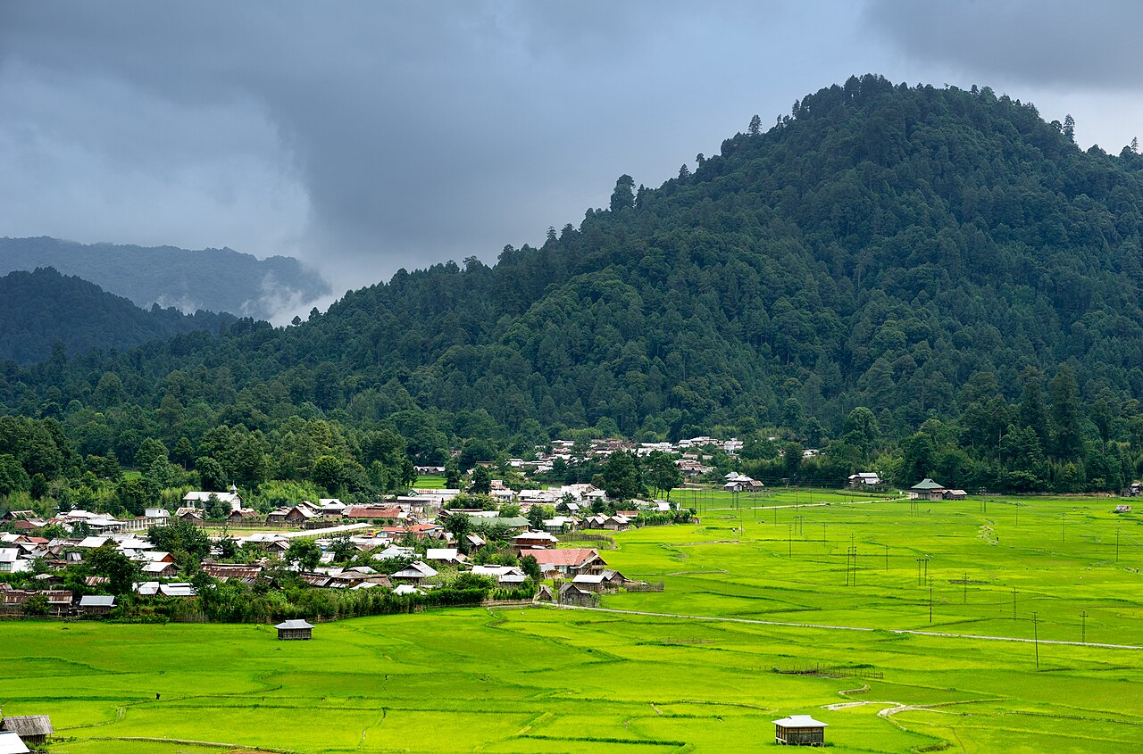 Ziro Valley, Arunachal Pradesh — rice fields and pine hills of the Apatani homeland