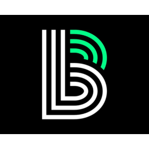 Big Brothers Big Sisters logo
