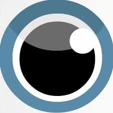 Ghaswala Vision Foundation logo