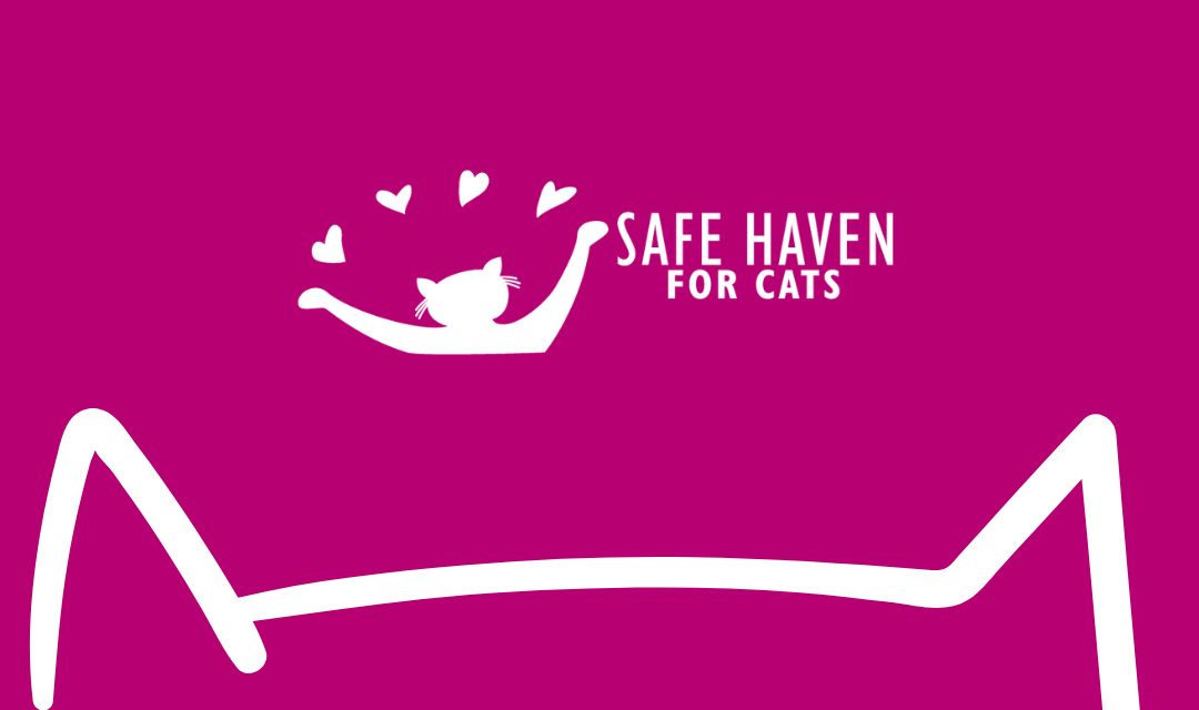 Safe Haven for Cats logo