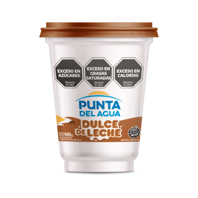 dulce de leche punta del agua 400gs