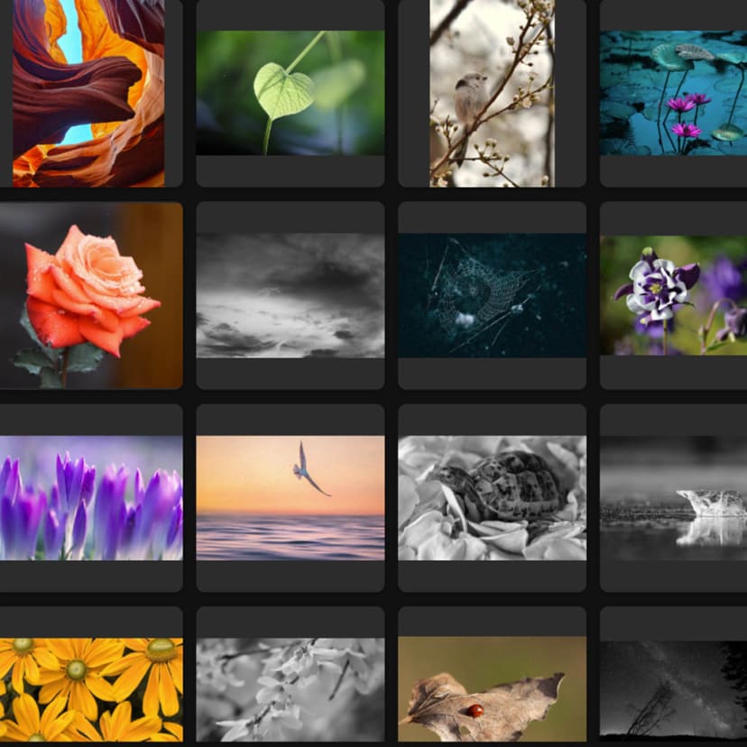 bbtools/products/Product_Cover_yfewad