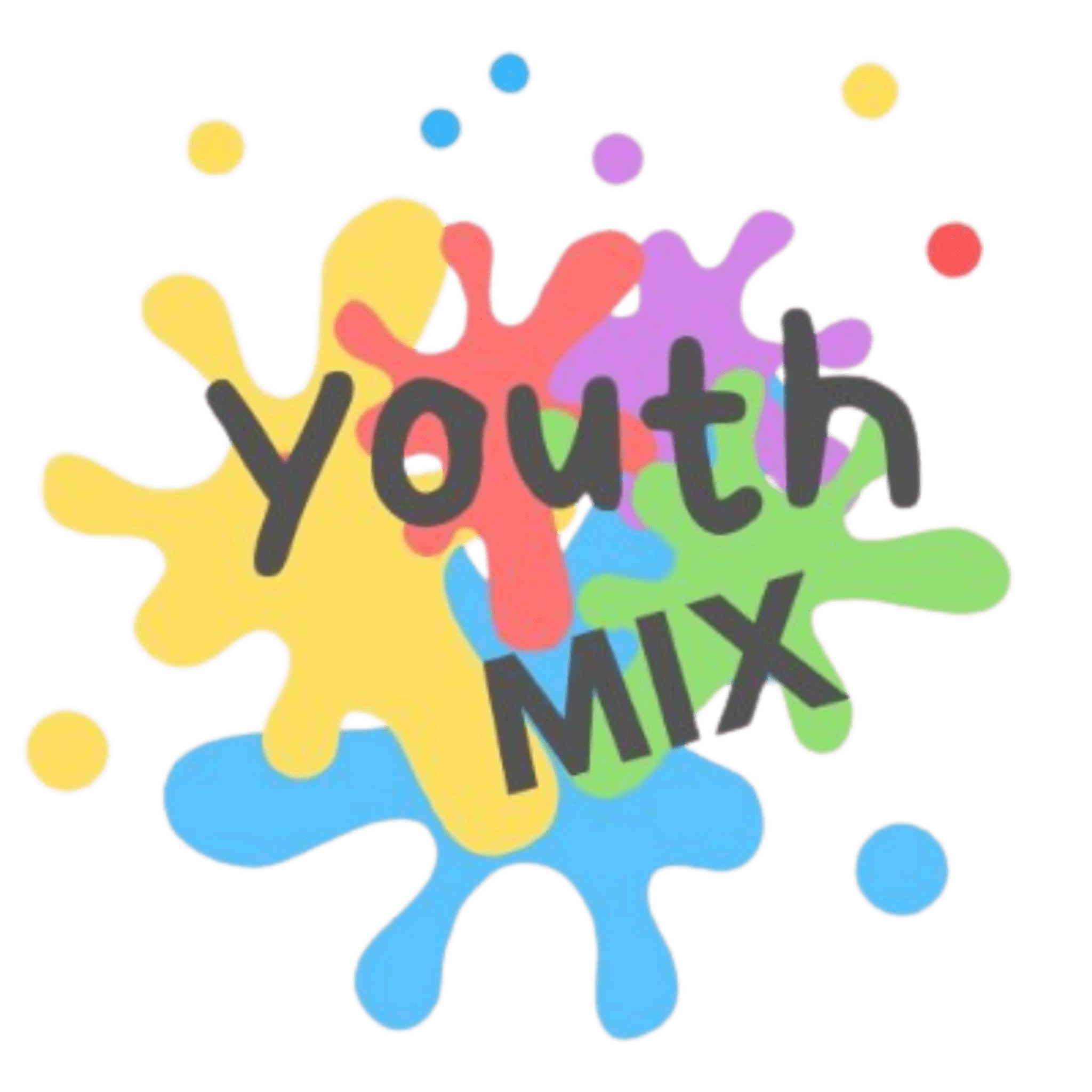 logótipo de Youth Mix NGO