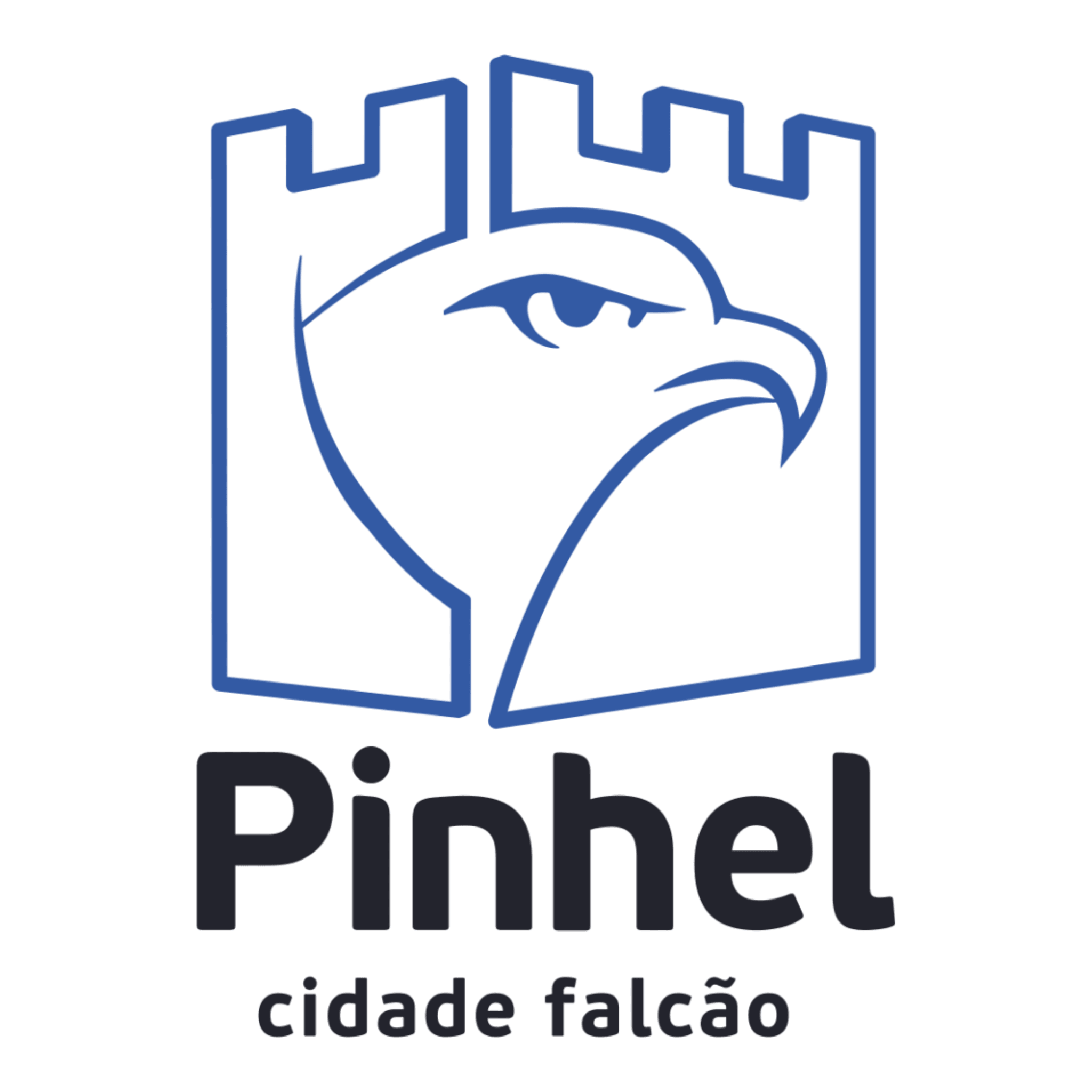 logótipo de Município de Pinhel
