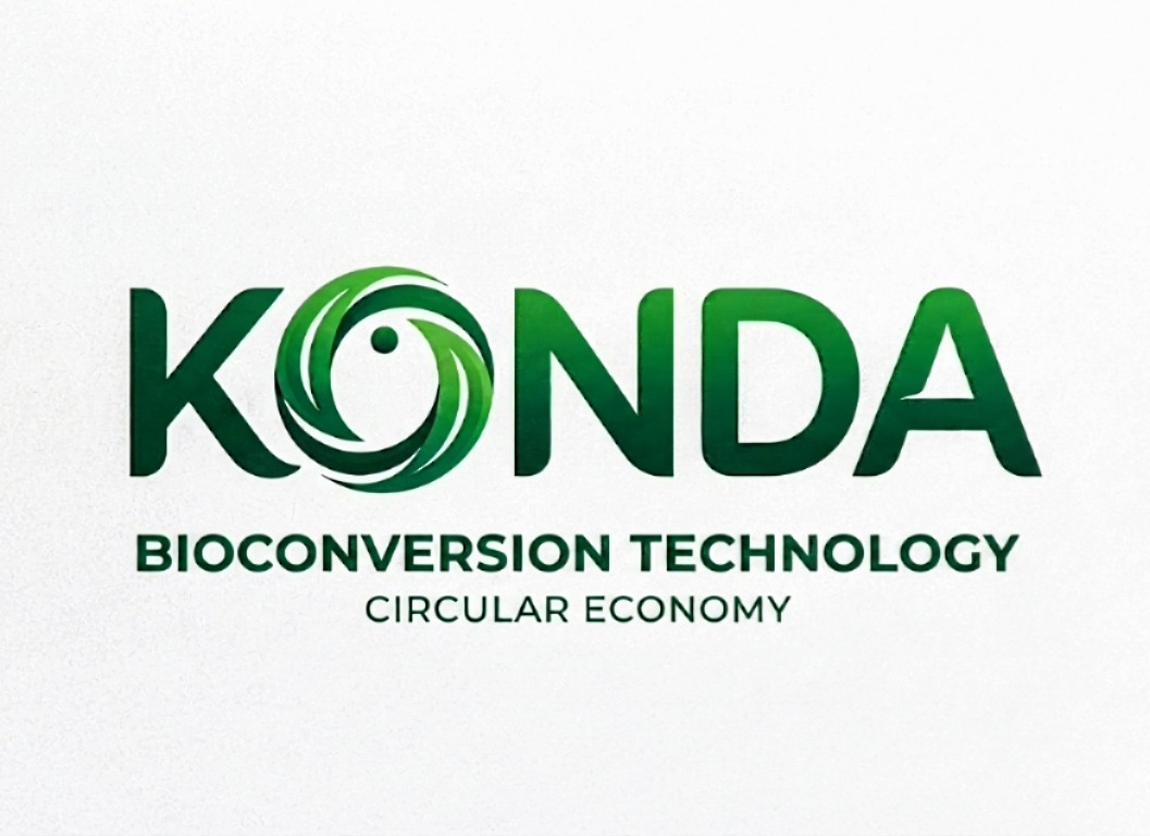 Star-up, Konda