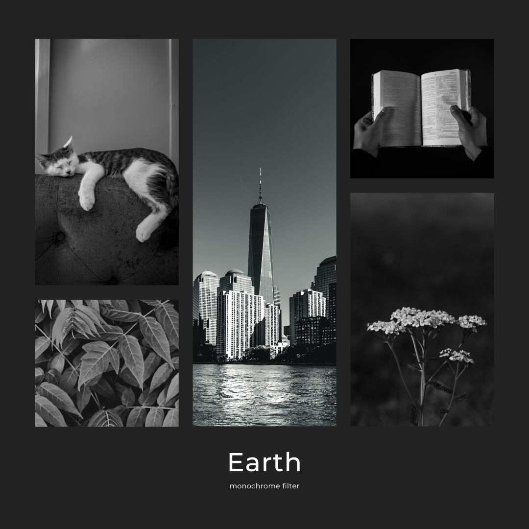 Monochrome Black White Color Palette - curated moodboard inspiration